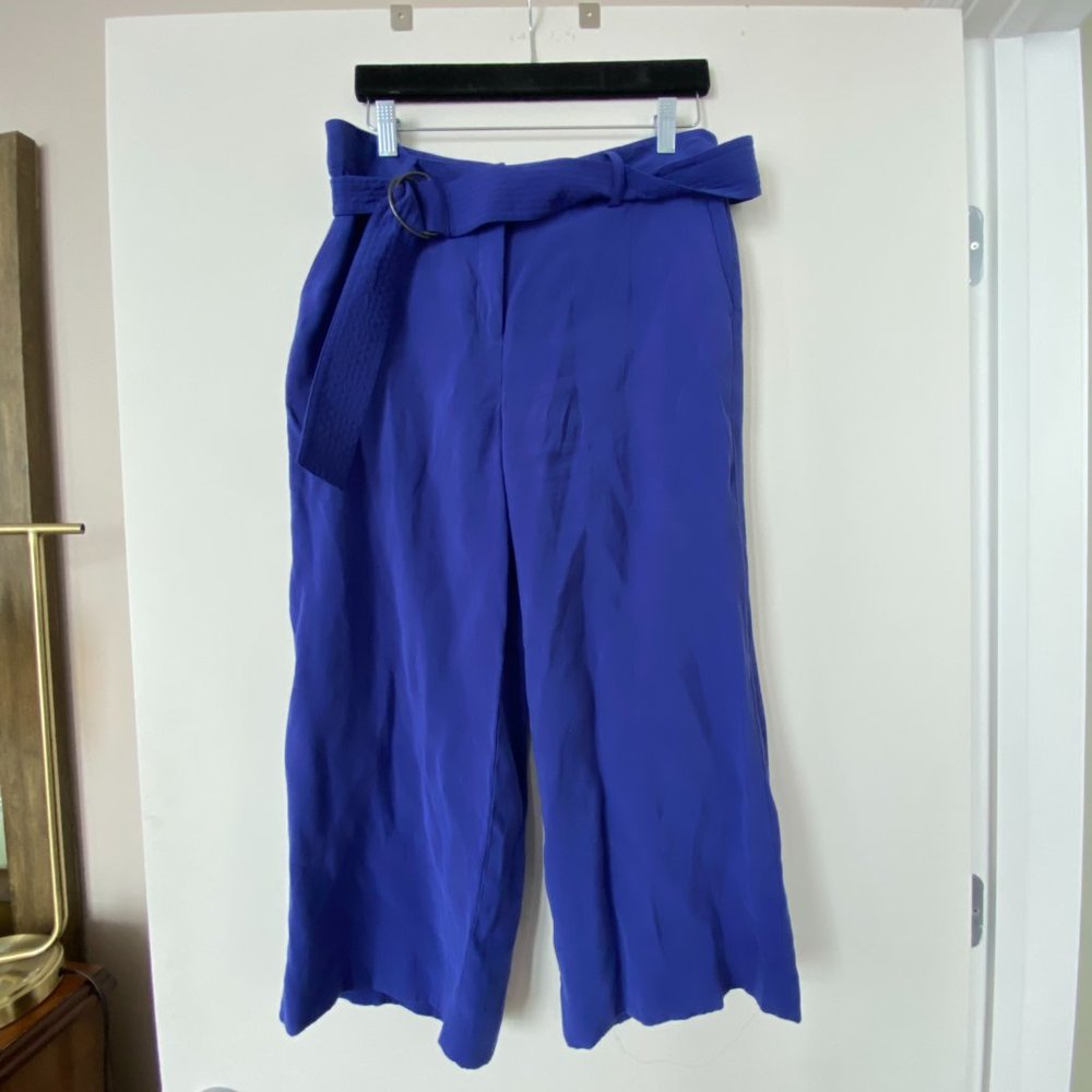 Cropped Wide Leg Blue Trousers like NEW